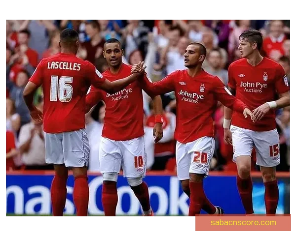 世界杯赛事赔率深度解析与精准竞猜策略全面指南